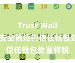 Trust Wallet防盗 安全简短的信任钱包处置样貌