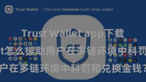 Trust Wallet app下载 Trust Wallet怎么援助用户在多链环境中科罚和兑换金钱？